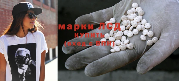прущие грибы Михайловск