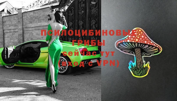 прущие грибы Михайловск
