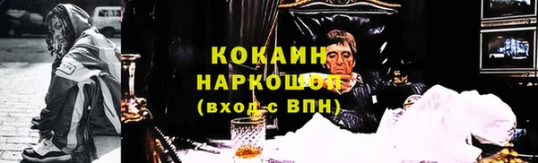 прущие грибы Михайловск