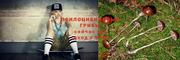 прущие грибы Михайловск