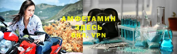 прущие грибы Михайловск
